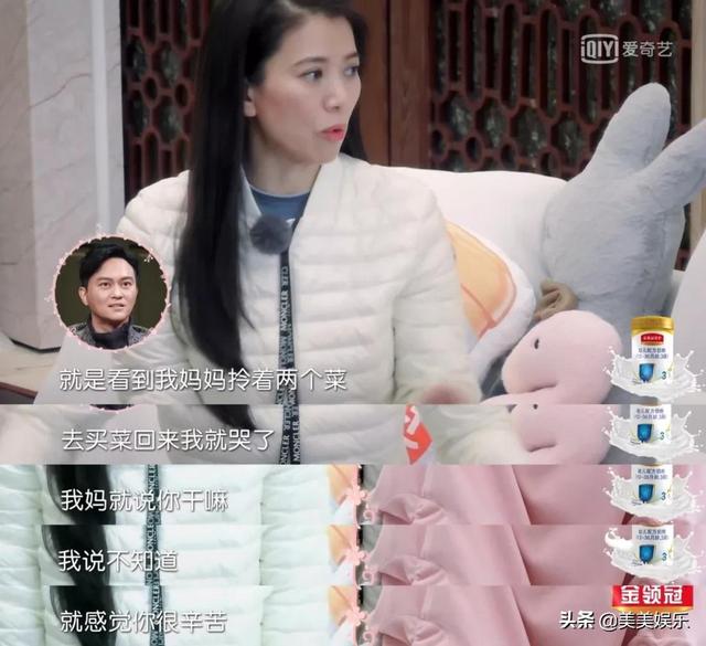 谢娜与张杰个人简介(网曝谢娜出轨肖战并怀孕)(11)