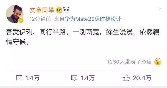 文章马伊琍宣布分手(文章马伊琍正式宣布离婚)(2)