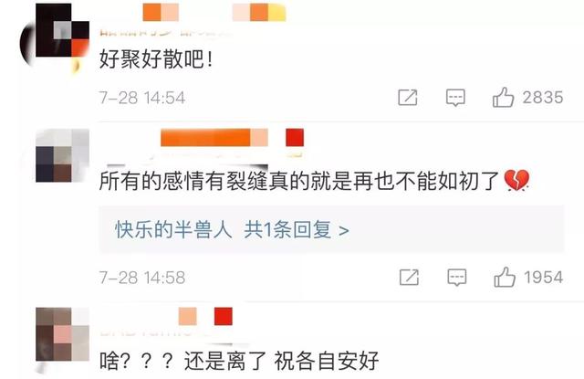 文章马伊琍宣布分手(文章马伊琍正式宣布离婚)(10)