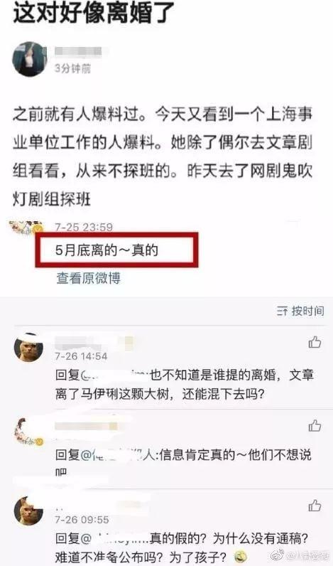 文章马伊琍宣布分手(文章马伊琍正式宣布离婚)(11)