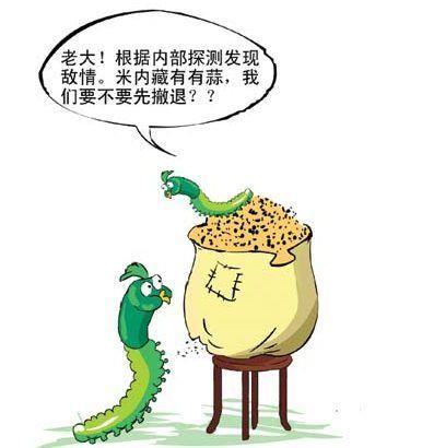 配图