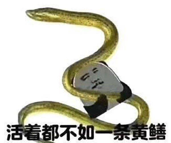黄鳝21分钟完整版 彪悍女性的无声代言