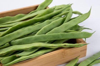 ​什么是芸豆_芸豆和豆角有什么区别