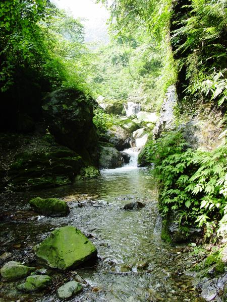 2、盘龙谷景区