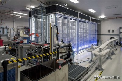 ​巴西蚊子工厂：以毒攻毒，5亿只蚊子背后的公共卫生奇迹