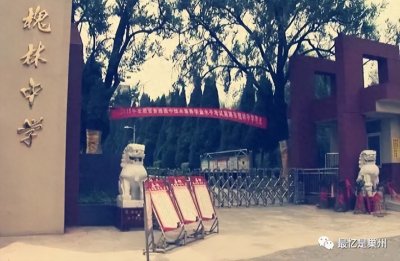 ​巢湖往事：在槐林中学（老校区）读初中时的难忘小事