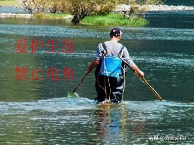 ​因为有这些危害，所以国家禁止“电鱼”