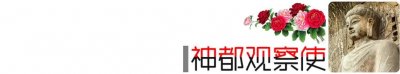 ​每一代人的挣扎和努力都不应该被浪费，从陈丹青清华辞职说起