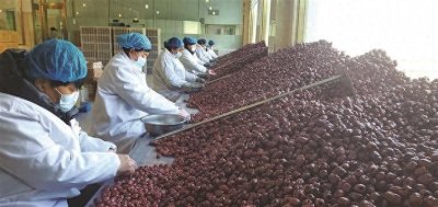 ​一颗小红枣 换得大幸福