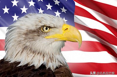 ​白头鹰成为美国国鸟，法国国鸟是雄鸡，中国国鸟是谁？却少为人知