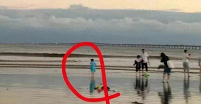 ​失踪的小女孩：巨大谜团背后的真相！