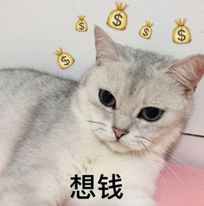 ​6种“旺财猫”，越养越富贵，错过真的很可惜