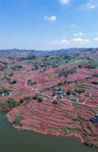 ​2025成都龙泉赏桃花独家攻略｜6km山脊徒步解锁5个秘境机位！