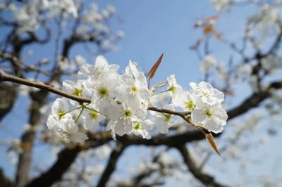 ​“搏击皖军”星光璀璨，李联邦独领砀山风华
