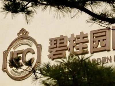 ​上半年预期至少亏损450亿，碧桂园能度过这次债务危机吗？