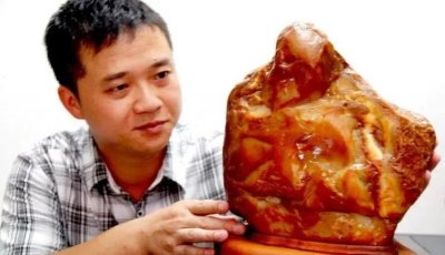 ​8块高价奇石，最后一块1000万