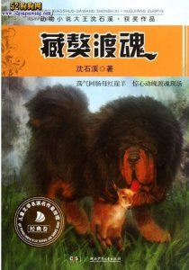 ​藏獒渡魂的羊，把愤怒化成温柔的力量