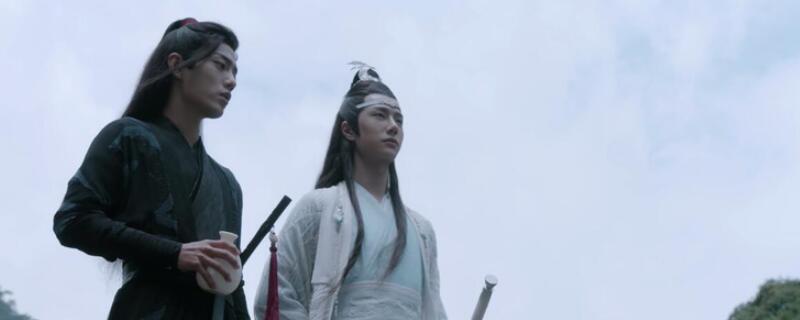 陈情令魏无羡的cp是谁