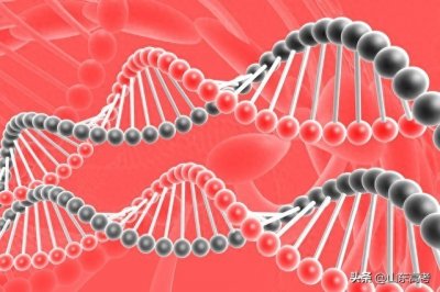​科学与技术：同根同源，却又大不同