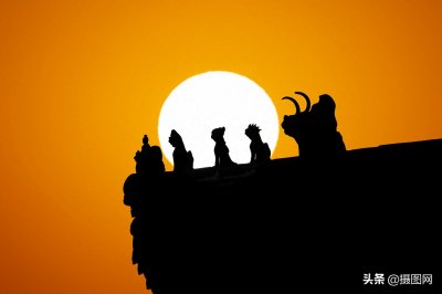 ​诗意美图｜那些可以让你一秒陷入“沉思”的剪影美图