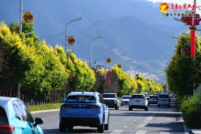 ​组图｜策马驰骋 林间留念 乌鲁木齐南山风景秀美引客来