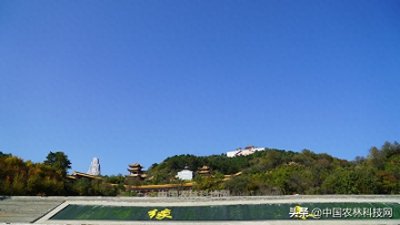 ​缘来无量、莲云祥和！延安黄龙无量山，这个秋天最美的邂逅