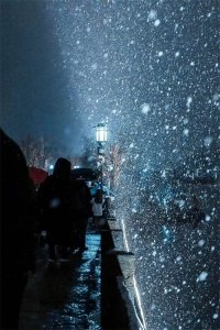 ​真心看不够，西湖边昨夜的雪景图太美了
