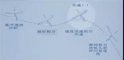 动力三角翼左右飞行(无动力三角翼的飞行原理)(4)