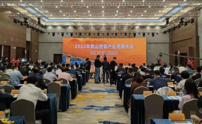 ​歙县：中国四大名菊产业发展联盟登场