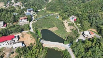 ​真正地“在线吃瓜”！地里现摘现吃，衡阳县迎来八月瓜成熟季，吸引大量游客前
