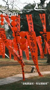 ​玩“蛇”么？吃“蛇”么？ “夷”起来武夷山画蛇添福！