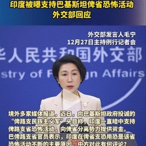 ​袭击中国人的巴基斯坦恐怖组织，背后竟是印度在支持？