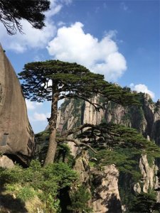 ​票选第一山——泰山、黄山，谁才是中国第一名山