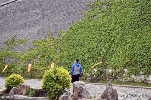 潍坊青州古城好玩吗?实拍五一假期游人在古城景区参观游览