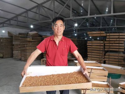 ​小小面包虫，让这位农民年赚30万