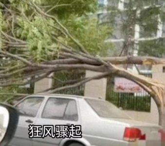 ​河南之夜：狂风怒吼，家园重建中的温情与希望