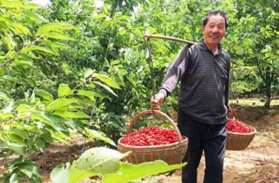 ​去到河南，我发现河南人普遍存在一些颠覆认知的性格特点