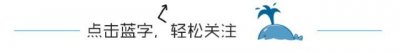 ​6.5折车票向你招手！南京到杭州动车四趟降价，五趟涨价