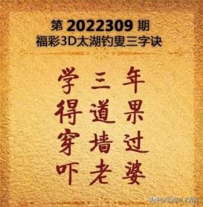 ​福彩3D第309期太湖字谜解析和开奖结果预测