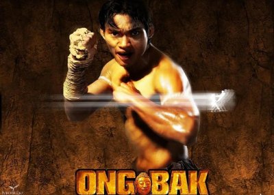 ​6部泰国高猛动作片，观赏性十足，泰拳，这几部就够了