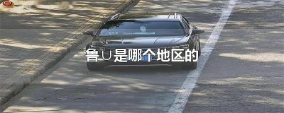 ​鲁∪是哪个地区的