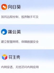 ​oray(oray是什么软件)