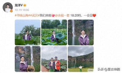 ​董卿地位岌岌可危？龙洋上位春晚内幕曝光，C位之争白热化！