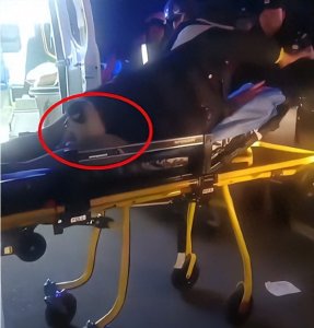 ​河南女子深夜与狗一同被送上救护车，网友：狗以后没脸见人了