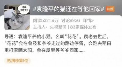 ​袁隆平的猫还在等他回家，网友看后破防了……