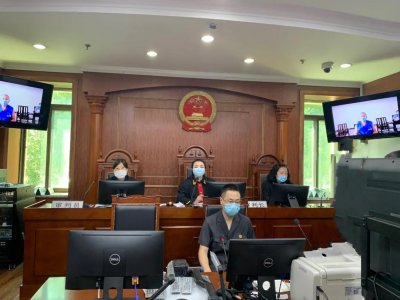​出国务工拾虎骨带回国内，男子获刑5年