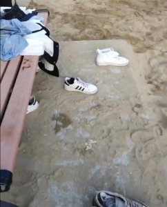 ​三男子开放式公园落水两人身亡，居民：公园不要门票晚上不关门