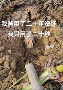 ​笑死在评论区：网友神回复大合集，笑到肚子疼！