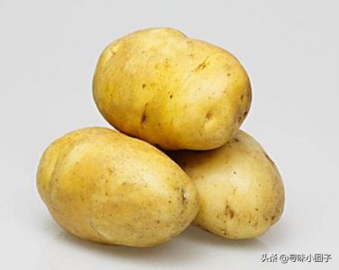红薯、木薯，马铃薯...各种薯，它们到底都是什么？