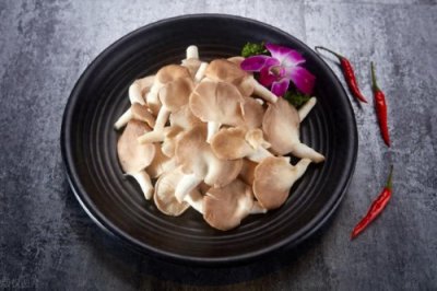 ​舌尖上的凤尾菇：营养解析、挑选技巧与家常美味食谱